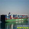 FCL LCL Sea Cargo to Leixoes Lisbon of Portugal from Shenzhen Shanghai